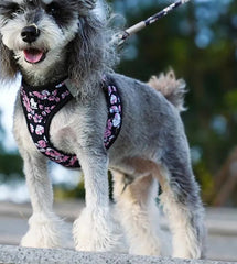 Floral Mesh Pet Harness & Leash Set by Snagg A Harness