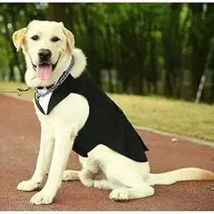 Dog Tuxedo Costume - SnaggIt