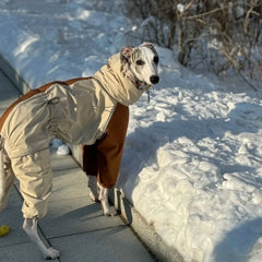 Winter Snow Guard 4 Legged Plush Dog Jacket