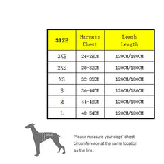 Floral Mesh Pet Harness & Leash Set by Snagg A Harness