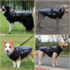 Waterproof Winter Dog Coat by Snagg A Coat