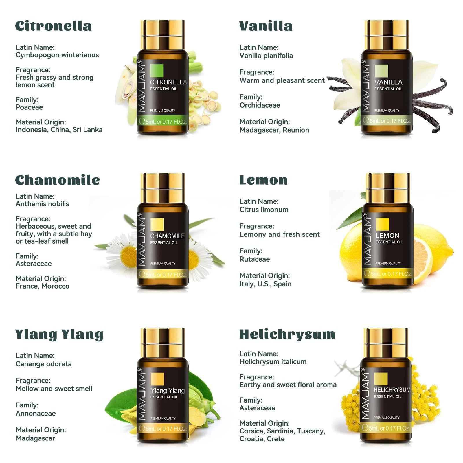 35 Bottle Master Essential Oil Library – 100% Pure Botanical Collection for Diffusion, Artisanal Crafting & Wellness