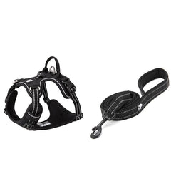 No-Pull Reflective Dog Harness & Leash Set by Snagg A Harness