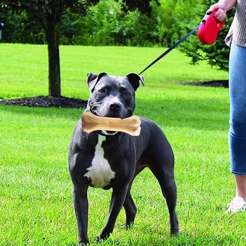 Small Dog Bone Chew Toy by Snagg A Chew Toy