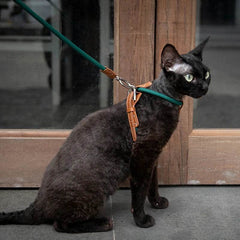 Adjustable Cat Chest Harness & Leash Set - SnaggIt
