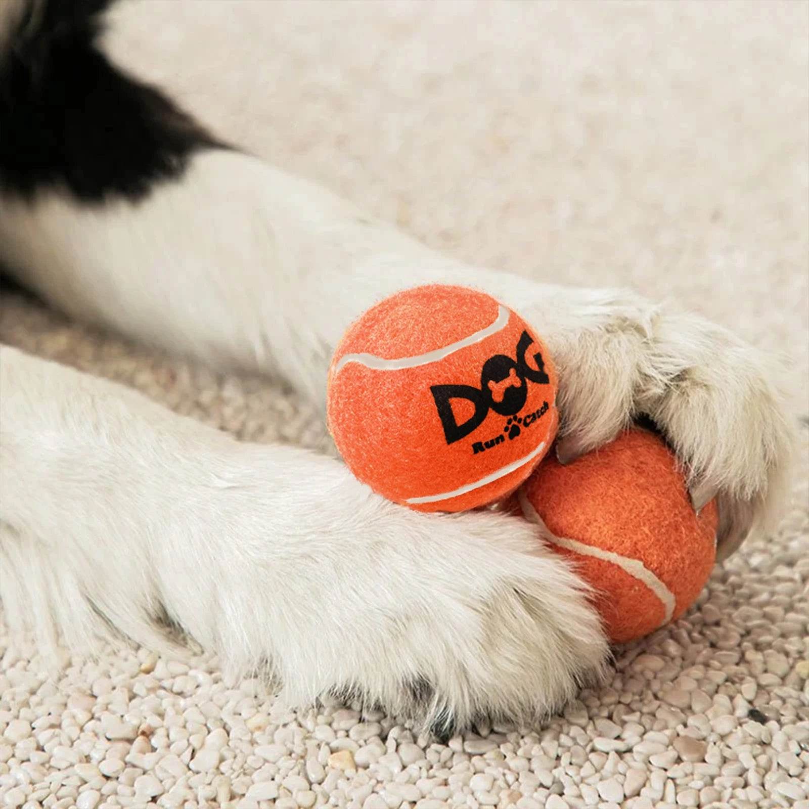 12-Pack Squeaky Dog Tennis Balls - SnaggIt