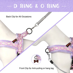 Floral Dog Harness – No Pull, Reflective & Warm by Snagg A Harness