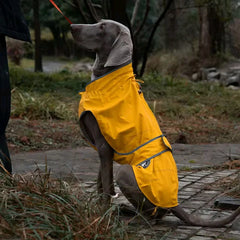 Waterproof Puppy Dog Raincoat by Snagg A Raincoat