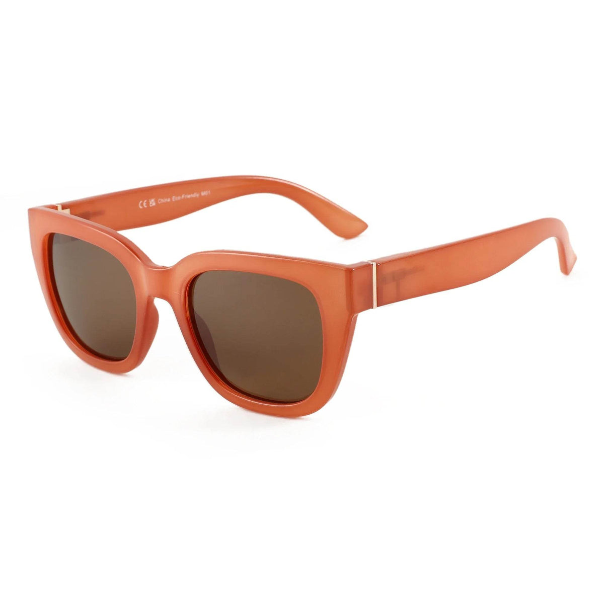 2025 Polarized Sunglasses - SnaggIt