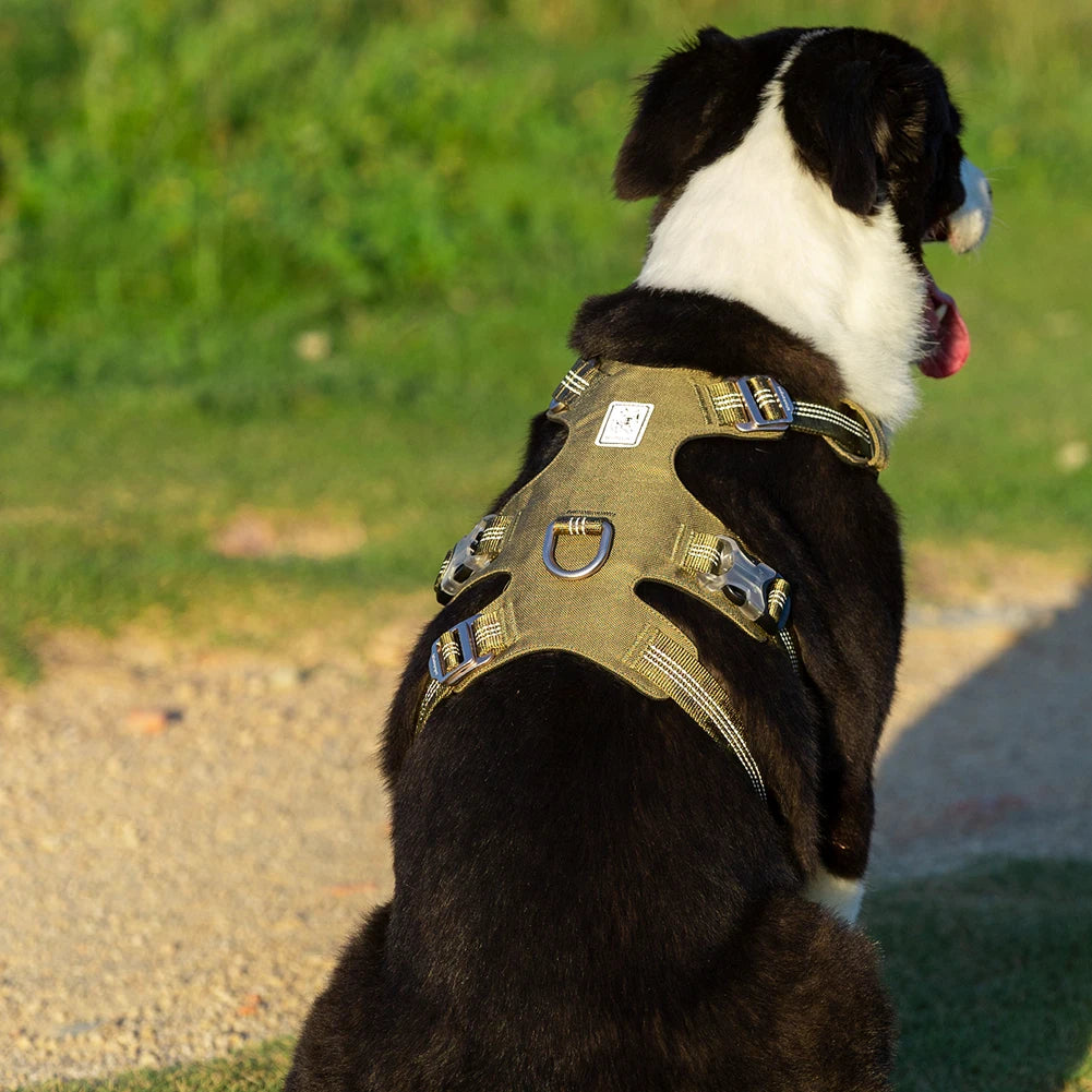 Escape Proof Dog Harness by Snagg A Harness