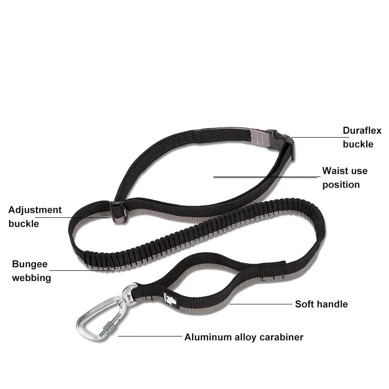 Hands-Free Bungee Dog Leash with Adjustable Waist Belt by Snagg A Leash