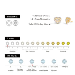 Luxury Heart Shape Moissanite Earrings