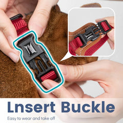 Travel Cat Harness & Leash Set by Snagg A Harness