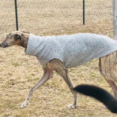 Warm Fleece Sleeveless Dog Vest