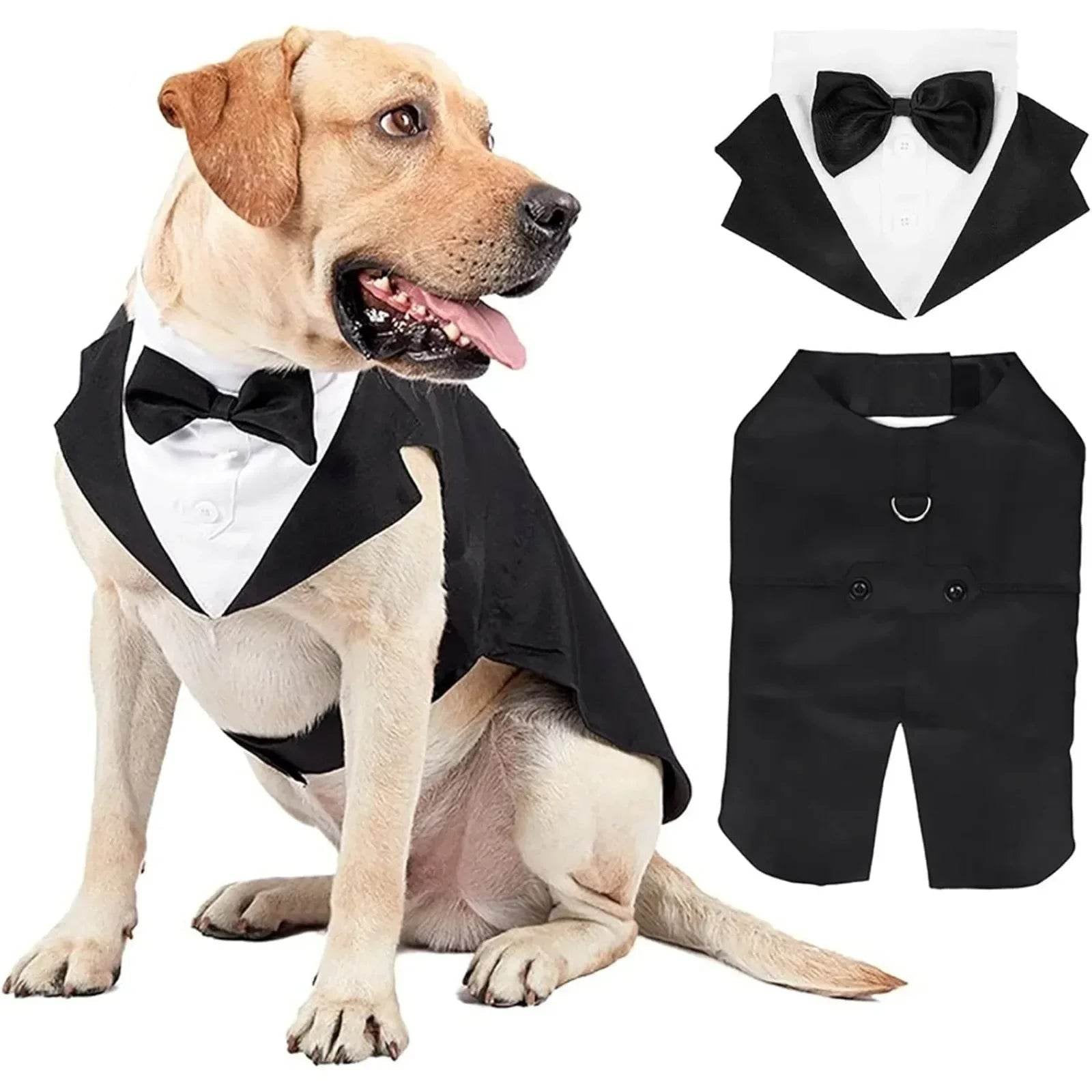 Dog Tuxedo Costume - SnaggIt