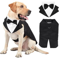 Dog Tuxedo Costume - SnaggIt