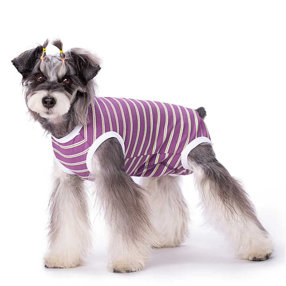 Dog Recovery Suit – Post-Surgery Anti-Licking Bodysuit with Sanitary Panel for Male & Female Dogs