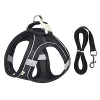 Escape Proof Cat Harness & Leash Set by Snagg A Harness