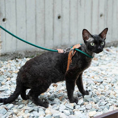Adjustable Cat Chest Harness & Leash Set - SnaggIt