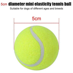 Automatic Dog Tennis Ball Launcher - SnaggIt