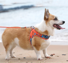 Floral Print Air-Mesh Harness for Dogs & Cats by Snagg A Harness