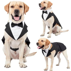 Dog Tuxedo Costume - SnaggIt