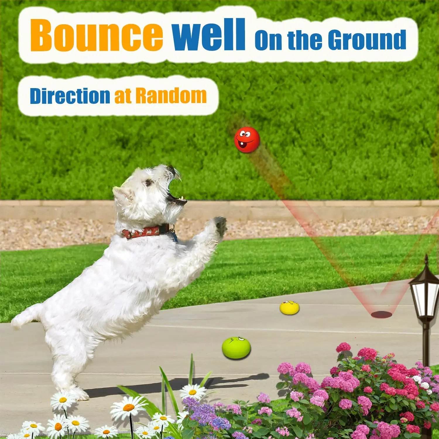 6PCS Latex Squeaky Dog Balls - SnaggIt