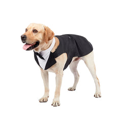 Pet Formal Suit Tuxedo by Snagg A Tuxedo