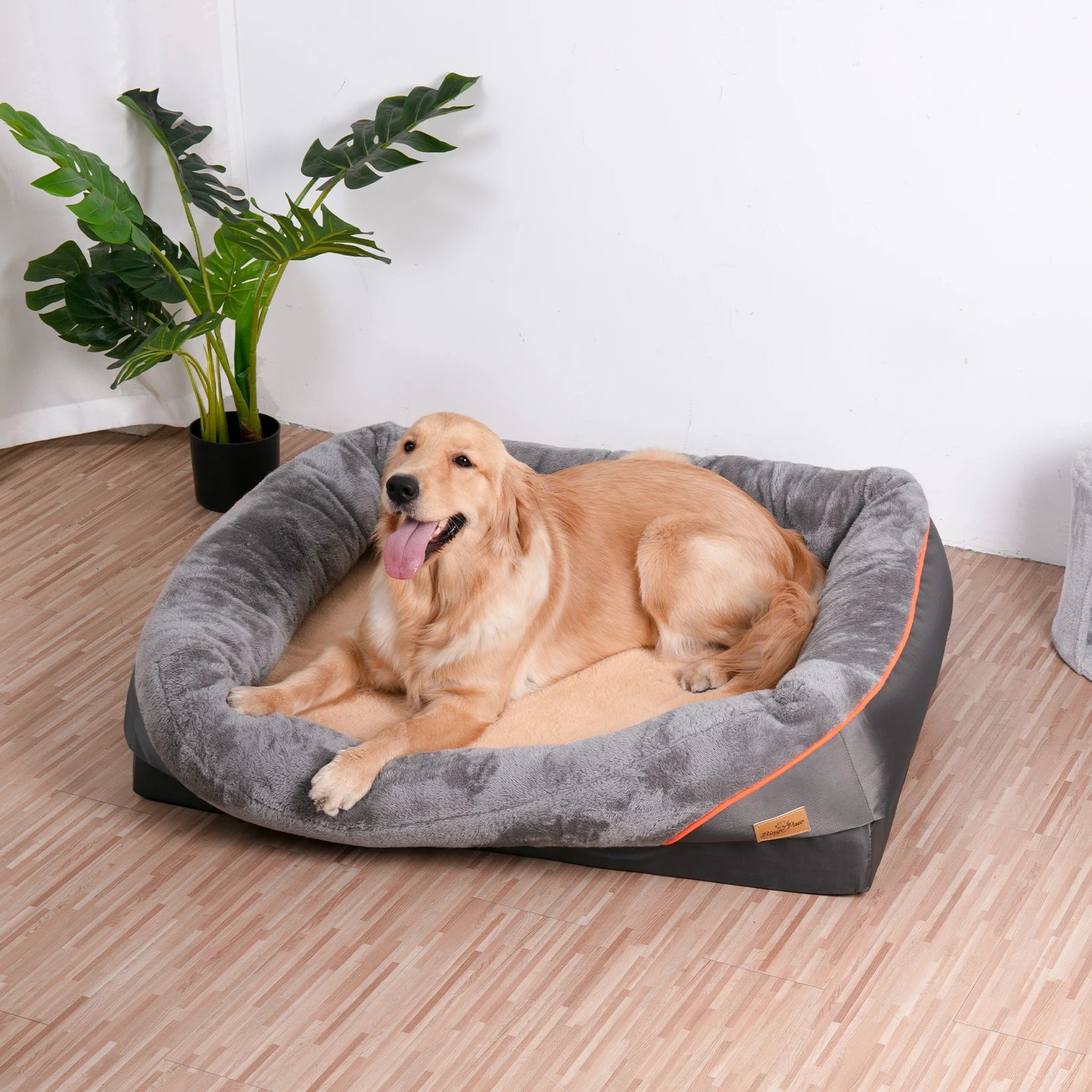 Super Soft Orthopedic Foam Dog Bed with Cotton Bolster & Removable Cover by Snagg A Pet Bed