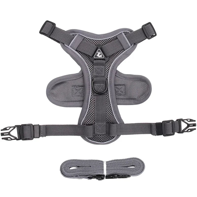 Reflective Cat & Dog Harness & Leash Set by Snagg A Harness