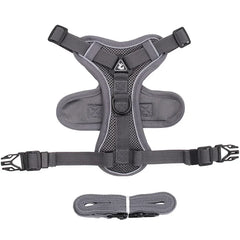 Reflective Cat & Dog Harness & Leash Set by Snagg A Harness