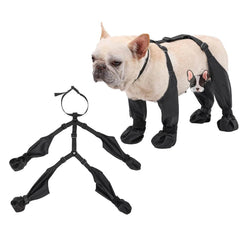 Adjustable Front & Backpack Style for Dogs & Cats - SnaggIt