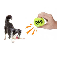 12-Pack Squeaky Dog Tennis Balls - SnaggIt