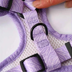 Knit Fabric Dog Harness & Leash Set – Breathable All-Season Chest Vest with Press Buckle for All Breeds