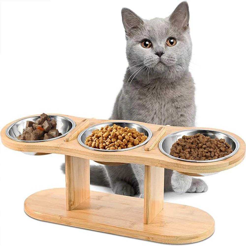 3 Elevated Tilted Cat Bowls - SnaggIt