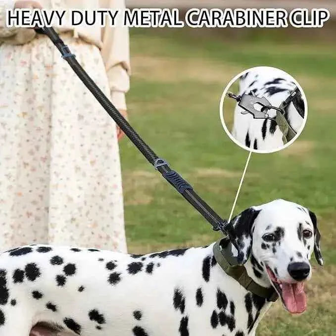 Bungee Dog Leash with Car Seatbelt Clip – Reflective Shock-Absorbing No-Pull Tactical Lead for Large Dogs