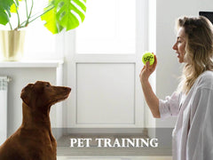 12-Pack Squeaky Dog Tennis Balls - SnaggIt