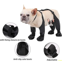 Waterproof Dog Boots with Harness Support by Snagg A Shoes