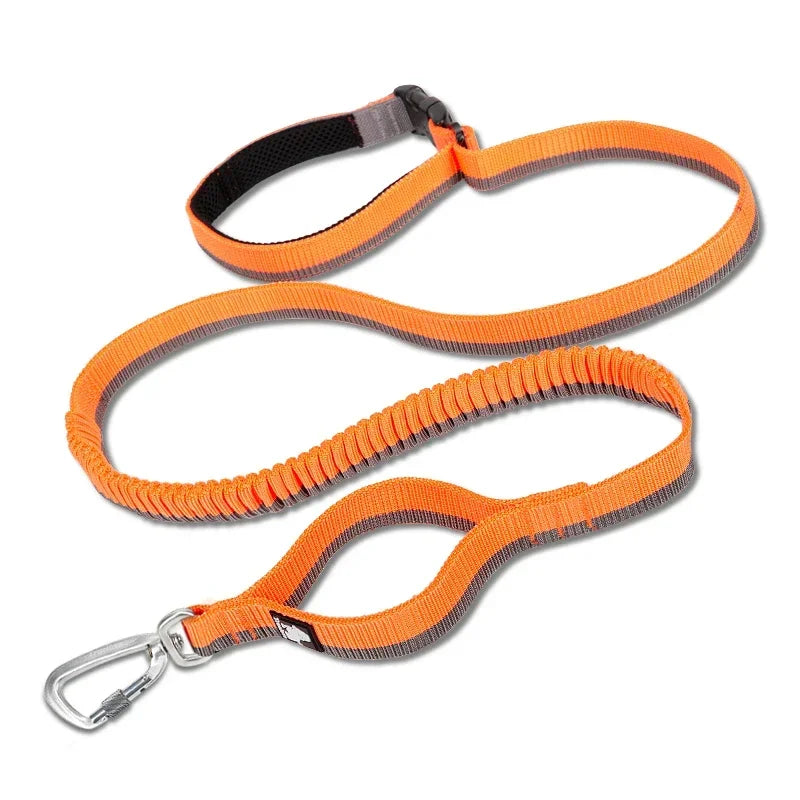 Hands-Free Bungee Dog Leash with Adjustable Waist Belt by Snagg A Leash