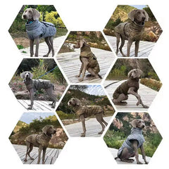 Autumn & Winter Warm Dog Jacket - SnaggIt