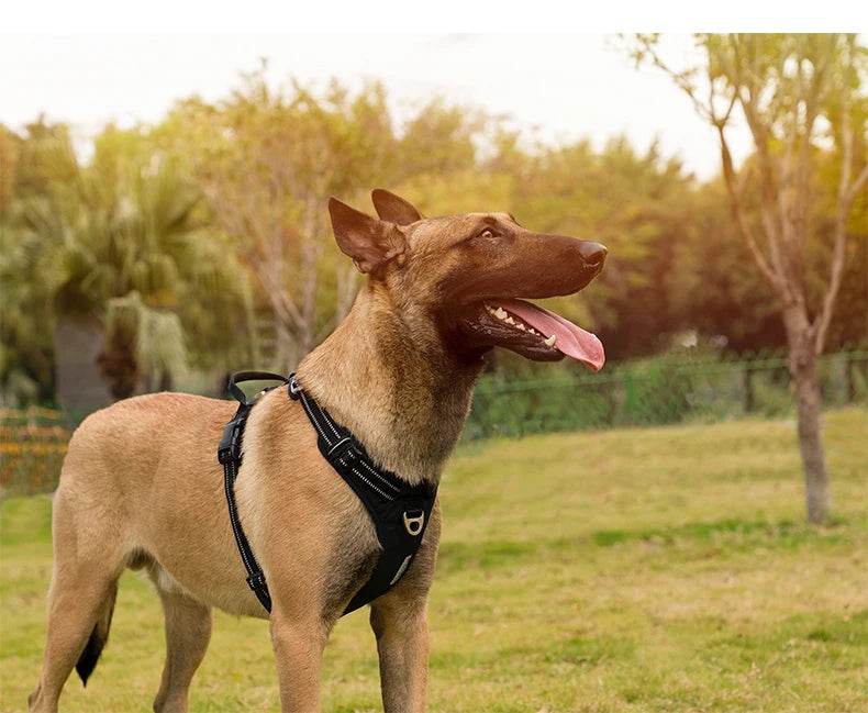 Black Tactical Dog Harness - SnaggIt