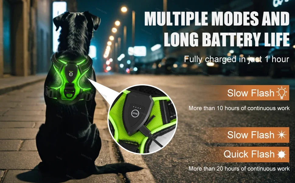 LED Luminous Dog Harness by Snagg A Harness