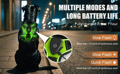 LED Luminous Dog Harness by Snagg A Harness