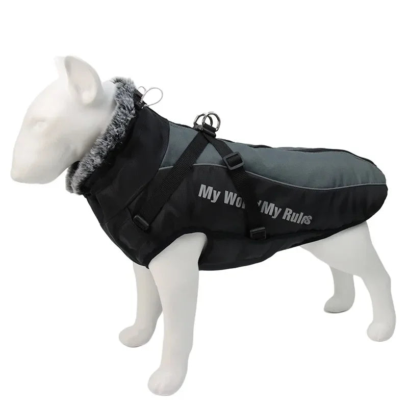 Waterproof Winter Dog Coat by Snagg A Coat