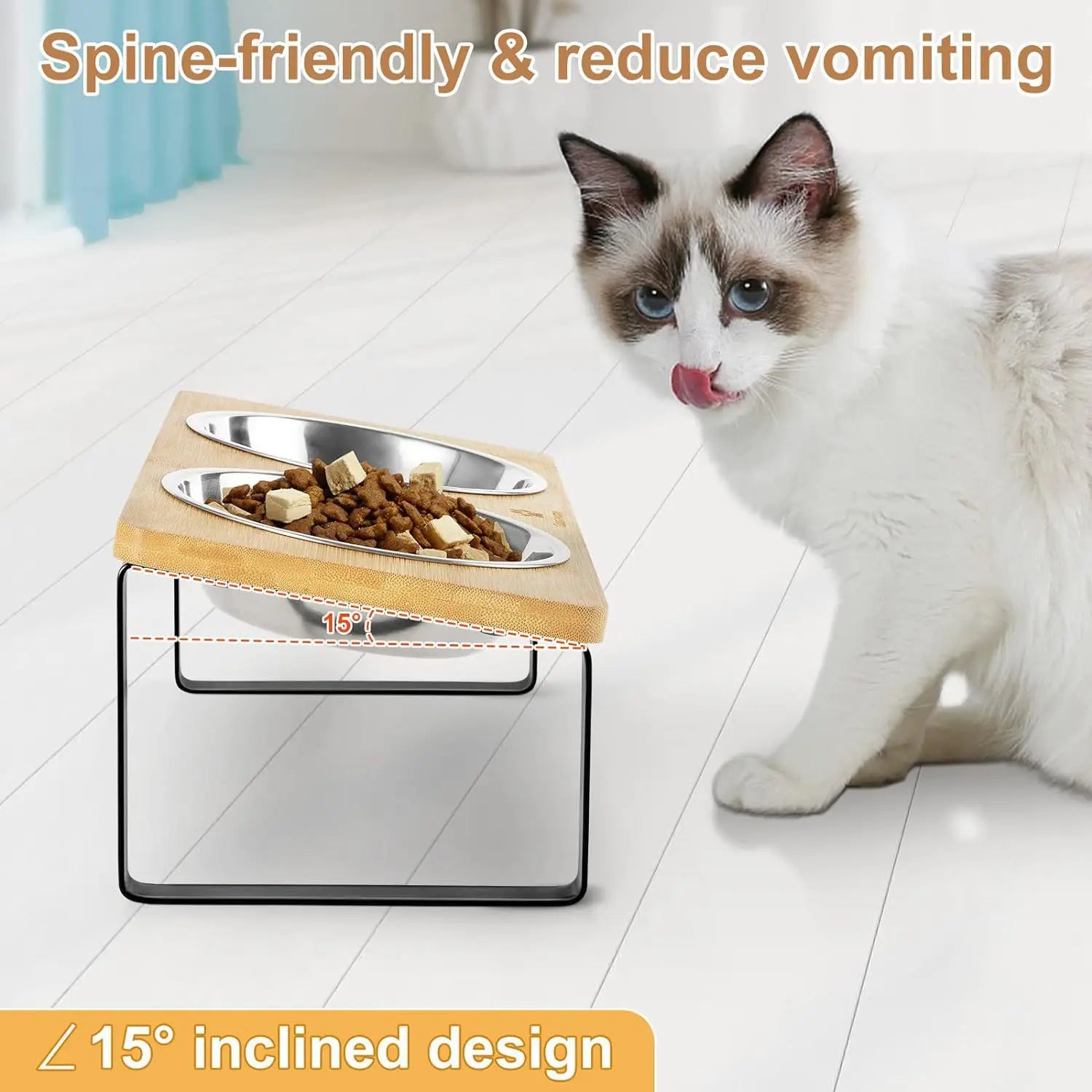 Elevated Slanted Kitten Plate Set by Snagg A Feeder