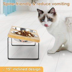 Elevated Slanted Kitten Plate Set by Snagg A Feeder