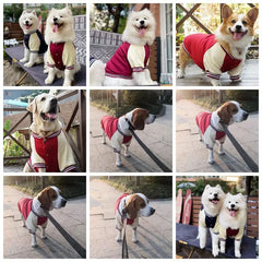 Warm Big Dog Baseball Jacket