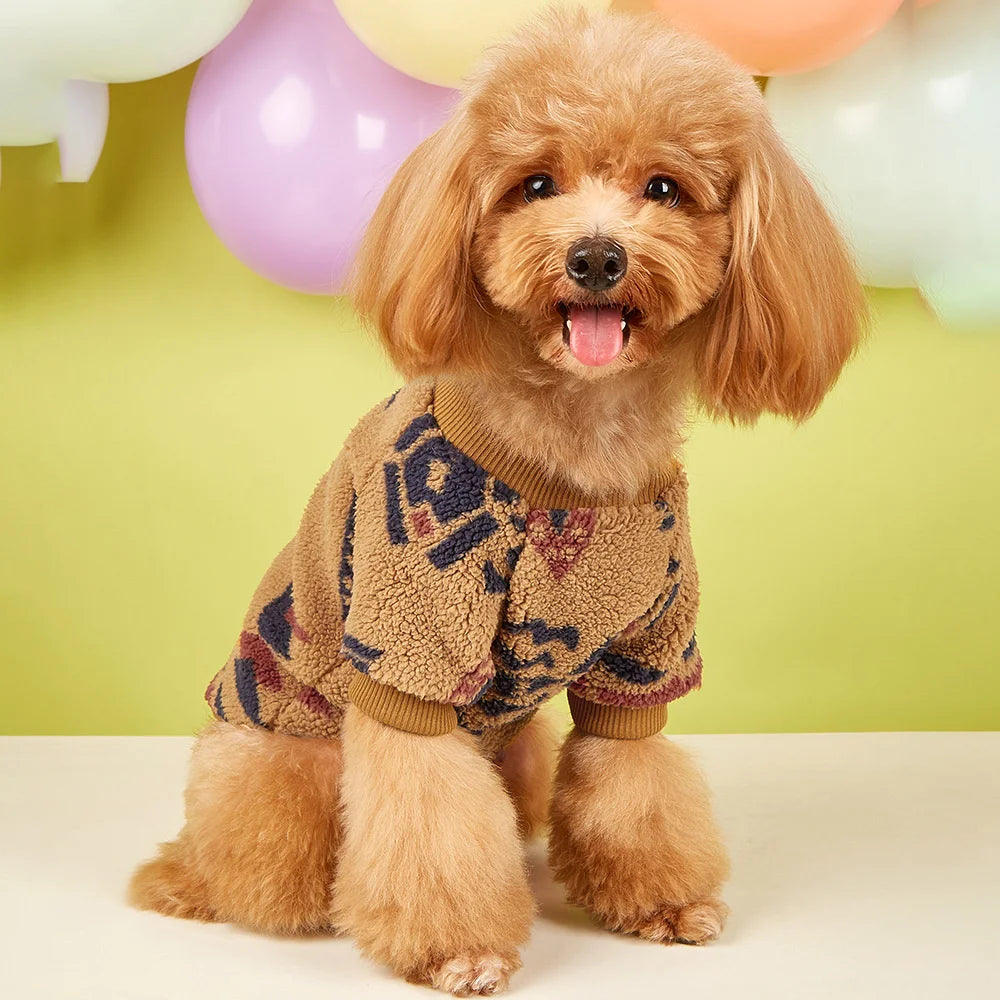 Warm Woolen Sweater for Small Dogs by Snagg A Sweater