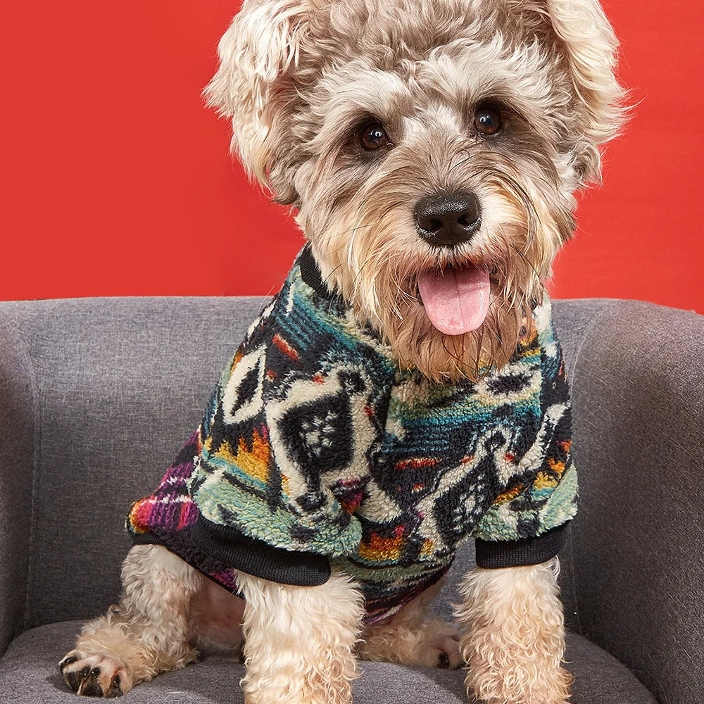 Warm Woolen Sweater for Small Dogs by Snagg A Sweater