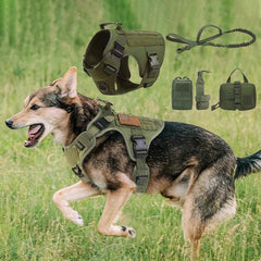 Tactical Large Dog Harness & Leash with MOLLE Pouches – Training Vest for Golden Retriever & French Bulldog
